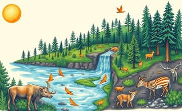 Nature's Balance Sheet: Valuing Ecosystem Services in Finance